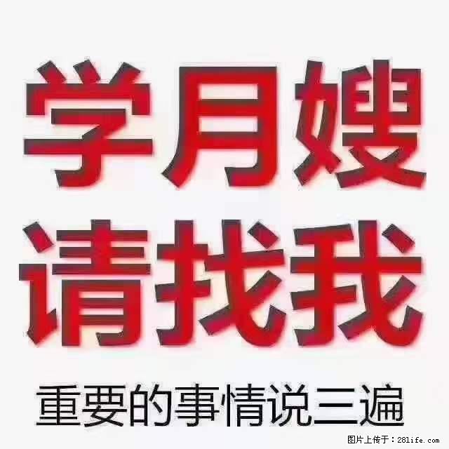 为什么要学习月嫂,育婴师? - 其他广告 - 广告专区 - 杭州分类信息 - 杭州28生活网 hz.28life.com