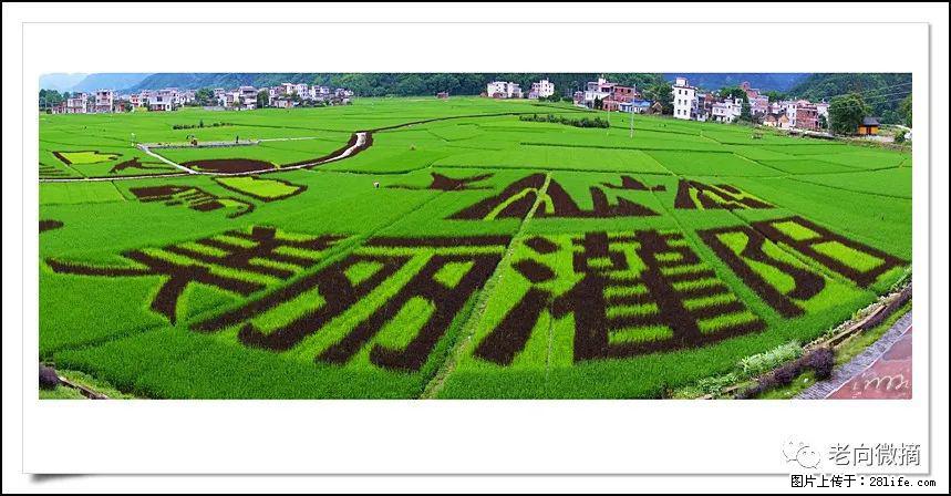 【春天,广西桂林灌阳县向您发出邀请!】开篇 - 游山玩水 - 杭州生活社区 - 杭州28生活网 hz.28life.com