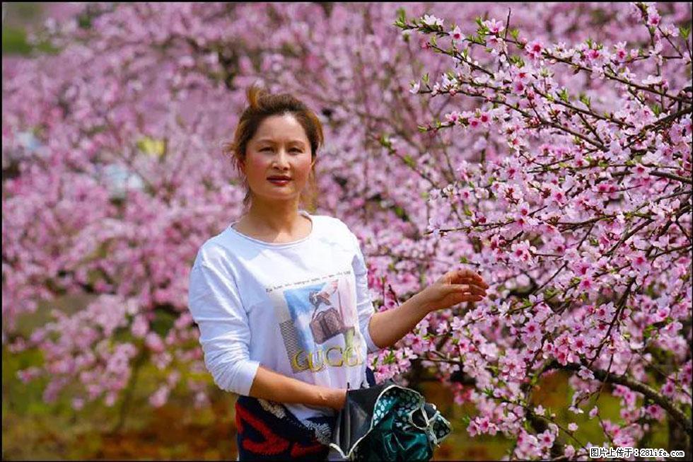 【春天，广西桂林灌阳县向您发出邀请！】官庄村有个醉美的桃花园 - 游山玩水 - 杭州生活社区 - 杭州28生活网 hz.28life.com