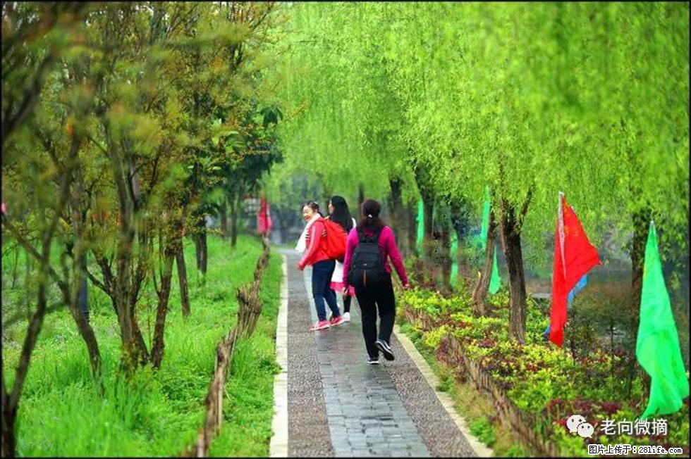 【春天,广西桂林灌阳县向您发出邀请!】江口老街又逢春 - 游山玩水 - 杭州生活社区 - 杭州28生活网 hz.28life.com