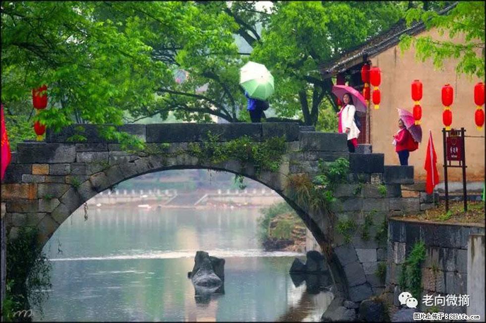 【春天,广西桂林灌阳县向您发出邀请!】江口老街又逢春 - 游山玩水 - 杭州生活社区 - 杭州28生活网 hz.28life.com