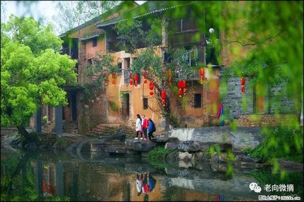 【春天,广西桂林灌阳县向您发出邀请!】江口老街又逢春 - 游山玩水 - 杭州生活社区 - 杭州28生活网 hz.28life.com