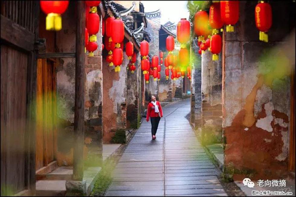 【春天,广西桂林灌阳县向您发出邀请!】江口老街又逢春 - 游山玩水 - 杭州生活社区 - 杭州28生活网 hz.28life.com