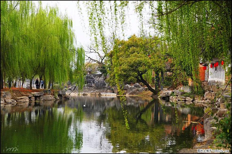 【春天,广西桂林灌阳县向您发出邀请!】江口老街又逢春 - 游山玩水 - 杭州生活社区 - 杭州28生活网 hz.28life.com