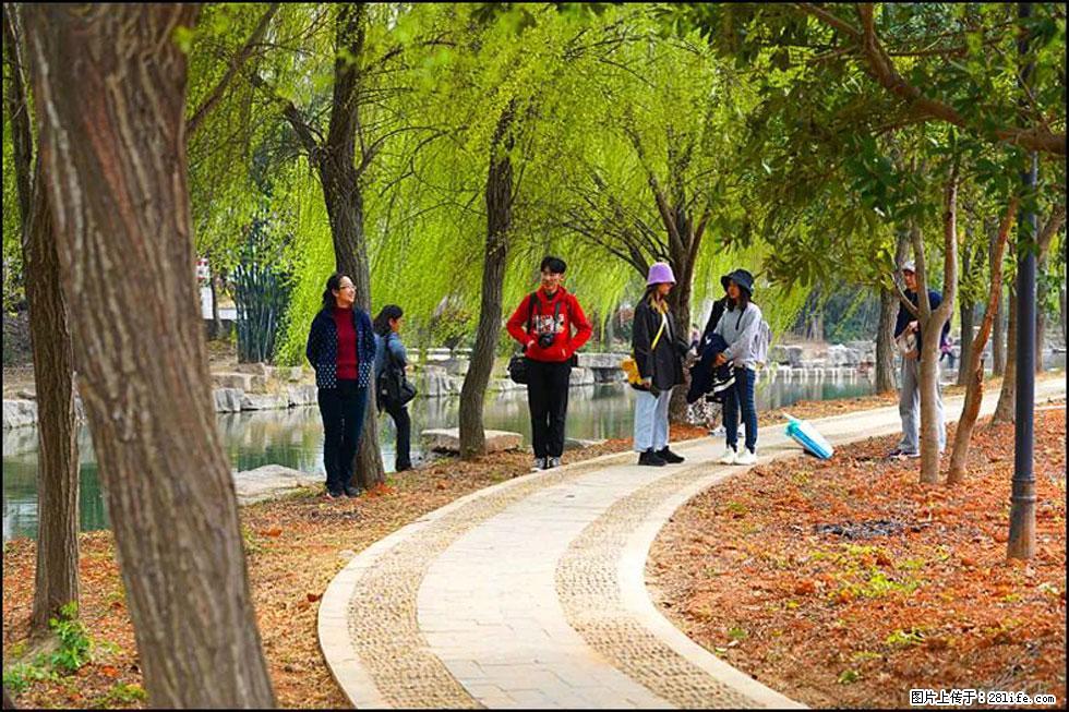 【春天,广西桂林灌阳县向您发出邀请!】江口老街又逢春 - 游山玩水 - 杭州生活社区 - 杭州28生活网 hz.28life.com