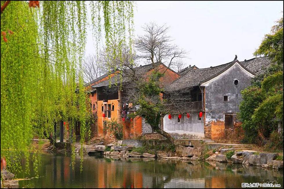 【春天,广西桂林灌阳县向您发出邀请!】江口老街又逢春 - 游山玩水 - 杭州生活社区 - 杭州28生活网 hz.28life.com