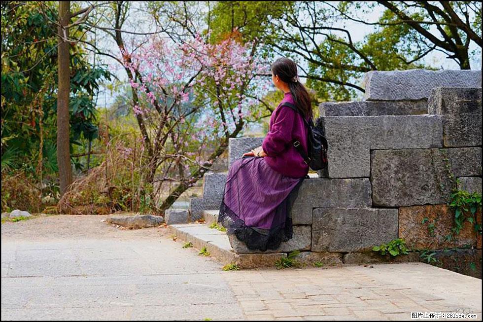 【春天,广西桂林灌阳县向您发出邀请!】江口老街又逢春 - 游山玩水 - 杭州生活社区 - 杭州28生活网 hz.28life.com