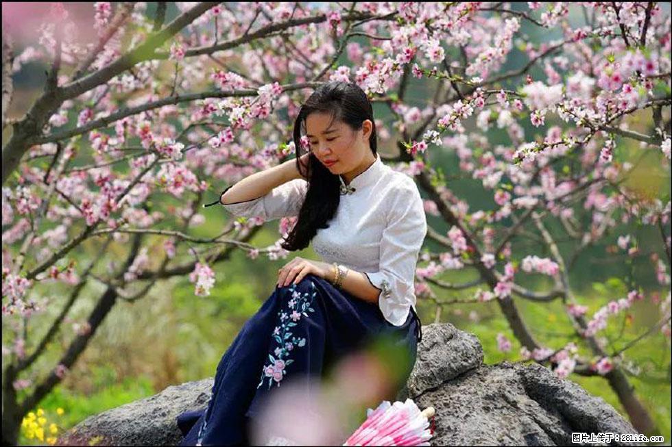【春天,广西桂林灌阳县向您发出邀请!】望月岭上桃花开 - 游山玩水 - 杭州生活社区 - 杭州28生活网 hz.28life.com