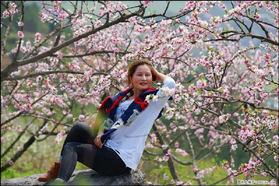 【春天,广西桂林灌阳县向您发出邀请!】望月岭上桃花开 - 游山玩水 - 杭州生活社区 - 杭州28生活网 hz.28life.com