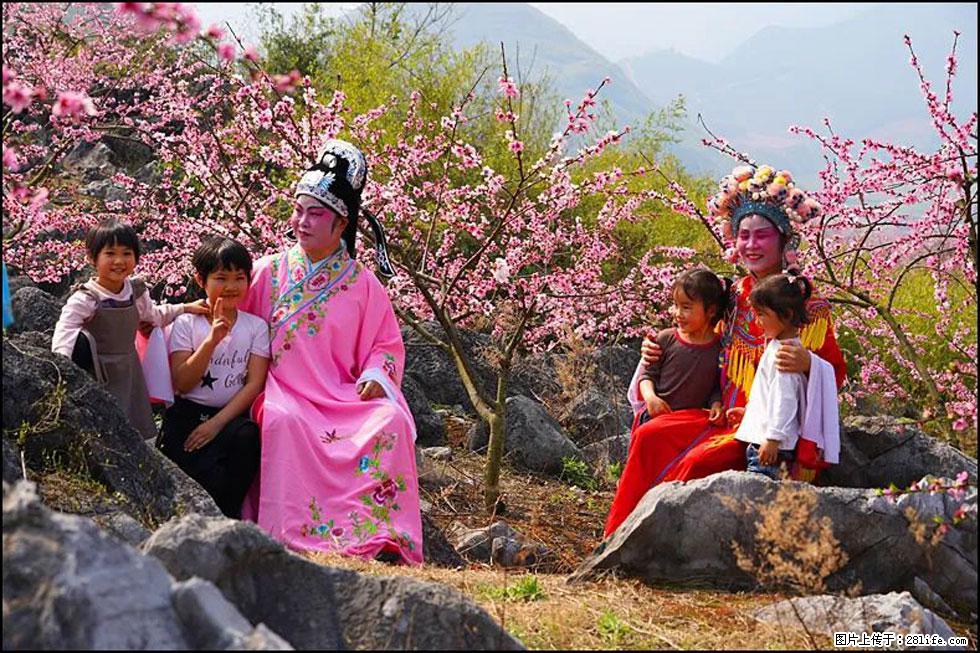 【春天,广西桂林灌阳县向您发出邀请!】望月岭上桃花开 - 游山玩水 - 杭州生活社区 - 杭州28生活网 hz.28life.com