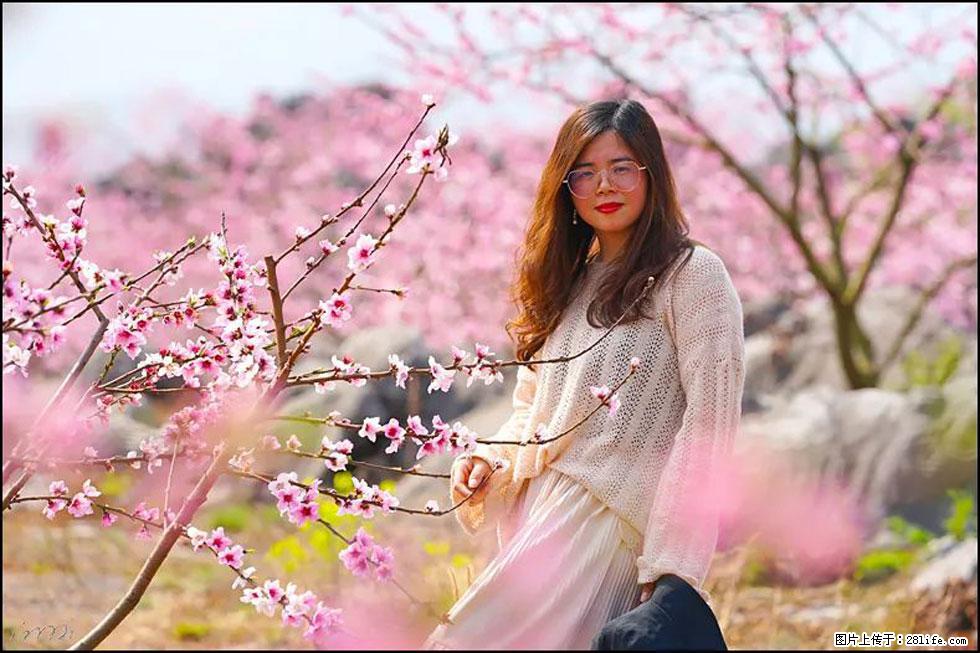 【春天,广西桂林灌阳县向您发出邀请!】望月岭上桃花开 - 游山玩水 - 杭州生活社区 - 杭州28生活网 hz.28life.com