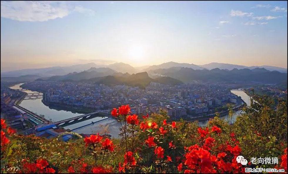 【春天,广西桂林灌阳县向您发出邀请!】登麒麟山,相约映山红 - 游山玩水 - 杭州生活社区 - 杭州28生活网 hz.28life.com