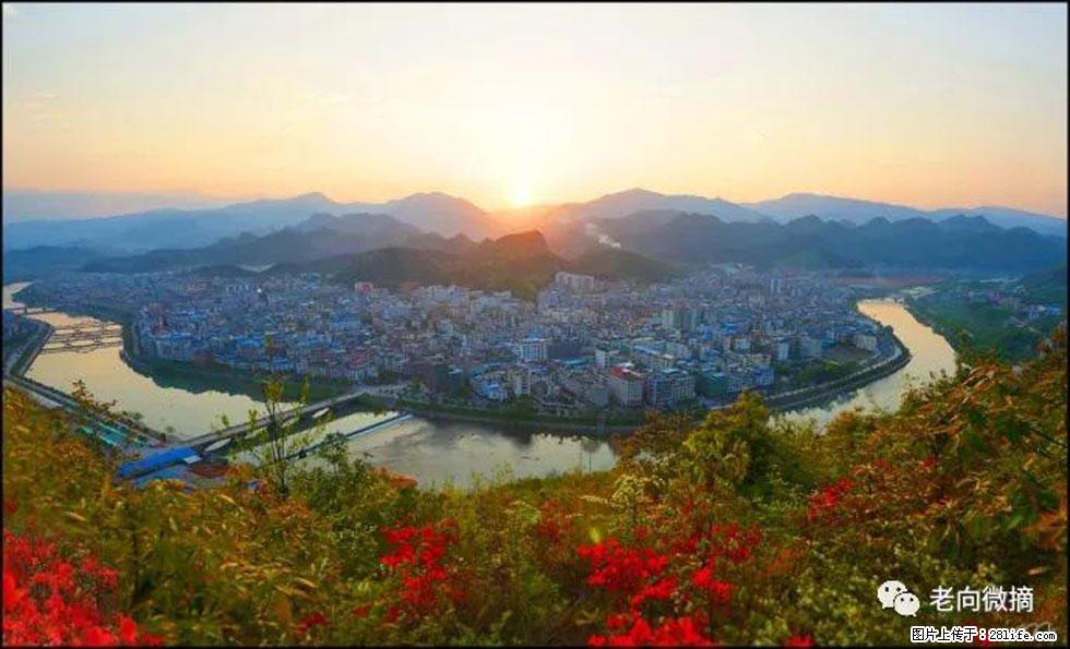 【春天,广西桂林灌阳县向您发出邀请!】登麒麟山,相约映山红 - 游山玩水 - 杭州生活社区 - 杭州28生活网 hz.28life.com