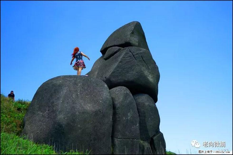 【春天,广西桂林灌阳县向您发出邀请!】宝盖山上映山红 - 游山玩水 - 杭州生活社区 - 杭州28生活网 hz.28life.com