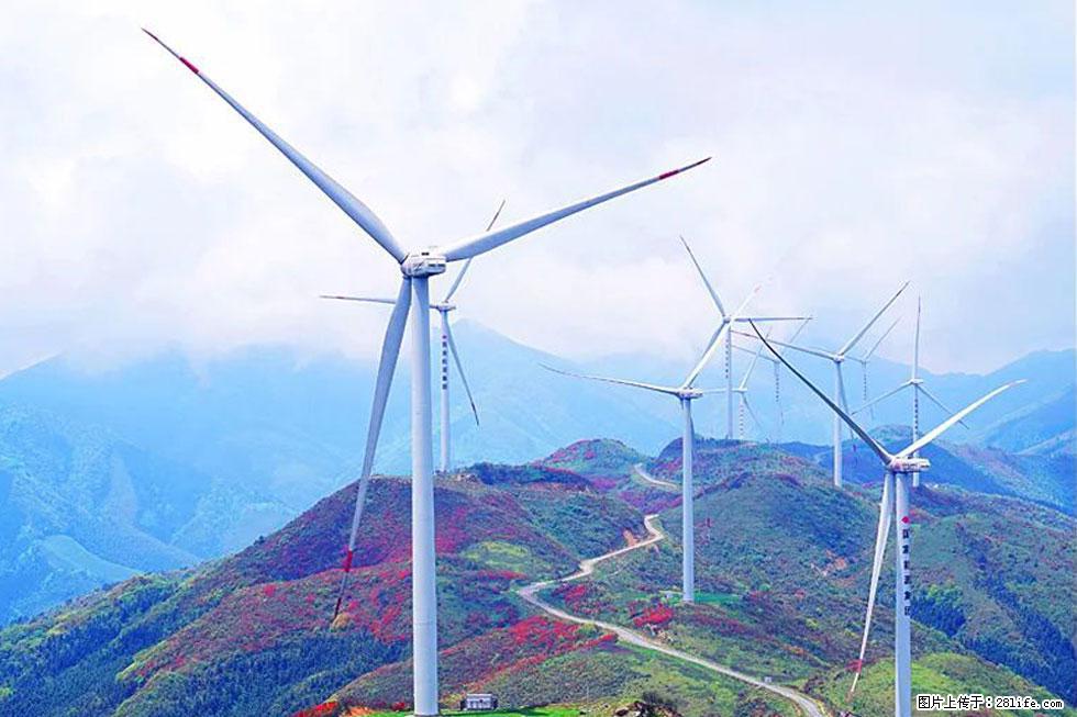 【春天,广西桂林灌阳县向您发出邀请!】春木界上映山红 - 游山玩水 - 杭州生活社区 - 杭州28生活网 hz.28life.com