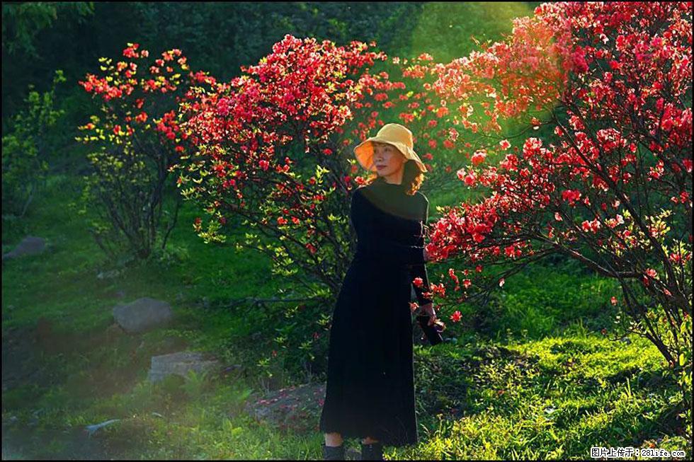 【春天,广西桂林灌阳县向您发出邀请!】春木界上映山红 - 游山玩水 - 杭州生活社区 - 杭州28生活网 hz.28life.com