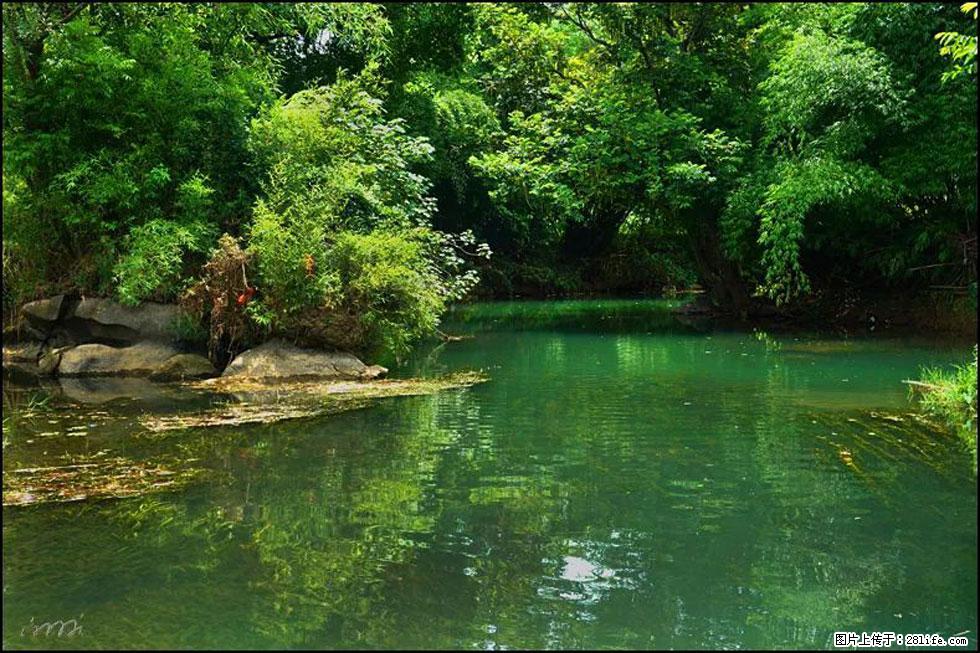 【春天,广西桂林灌阳县向您发出邀请!】如梦似幻莲溪庐 - 游山玩水 - 杭州生活社区 - 杭州28生活网 hz.28life.com