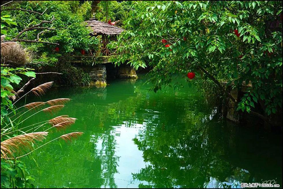 【春天,广西桂林灌阳县向您发出邀请!】如梦似幻莲溪庐 - 游山玩水 - 杭州生活社区 - 杭州28生活网 hz.28life.com