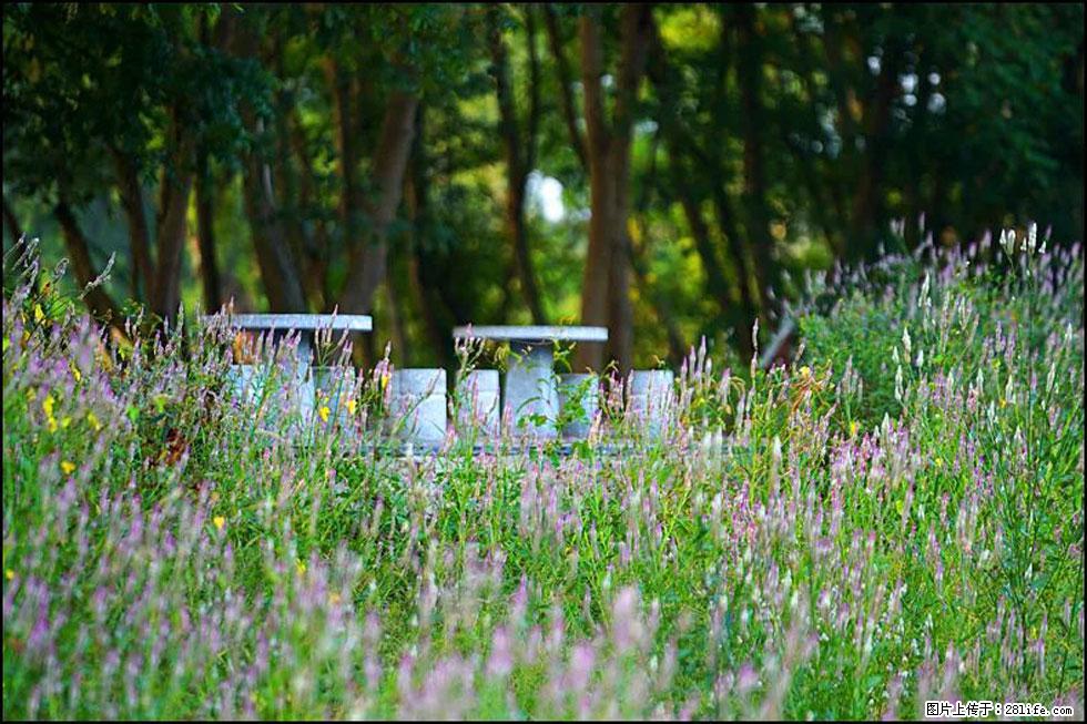 【春天,广西桂林灌阳县向您发出邀请!】熊家寨湿地公园 - 游山玩水 - 杭州生活社区 - 杭州28生活网 hz.28life.com