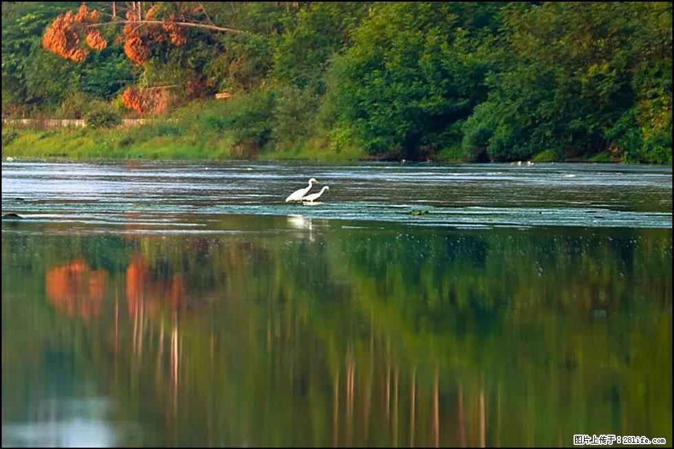 【春天,广西桂林灌阳县向您发出邀请!】熊家寨湿地公园 - 游山玩水 - 杭州生活社区 - 杭州28生活网 hz.28life.com