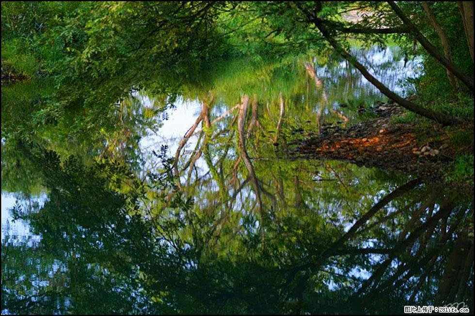 【春天,广西桂林灌阳县向您发出邀请!】熊家寨湿地公园 - 游山玩水 - 杭州生活社区 - 杭州28生活网 hz.28life.com