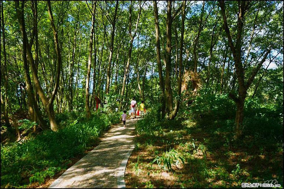 【春天,广西桂林灌阳县向您发出邀请!】熊家寨湿地公园 - 游山玩水 - 杭州生活社区 - 杭州28生活网 hz.28life.com