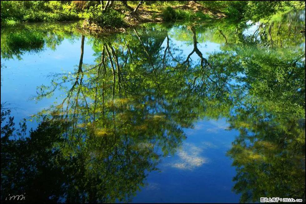 【春天,广西桂林灌阳县向您发出邀请!】熊家寨湿地公园 - 游山玩水 - 杭州生活社区 - 杭州28生活网 hz.28life.com