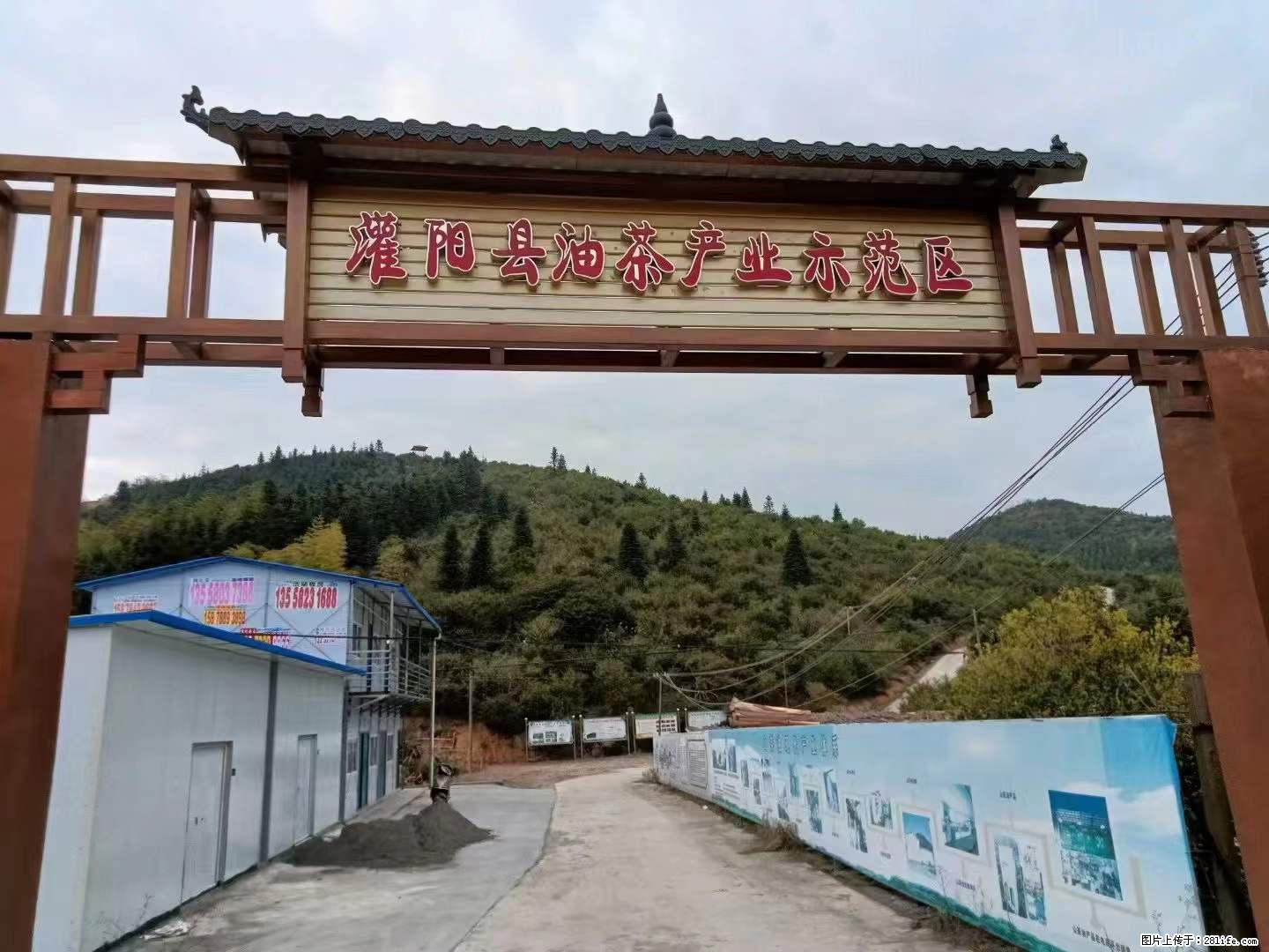 【灌阳县油茶产业示范区】一个有着充实的精神生活的人,对待身外之物自会有一种淡泊的态度 - 美食天地 - 杭州生活社区 - 杭州28生活网 hz.28life.com