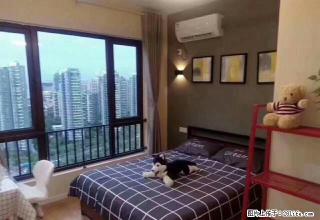 (单间出租)押一付一 可短租 曹家桥地铁 广元公寓 广悦公寓 姚江岸家园 - 杭州28生活网 hz.28life.com