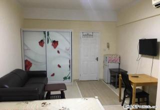 文泽站大都文苑风情 真实 一室精装 落地窗 随时约看 - 杭州28生活网 hz.28life.com