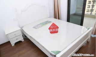 (单间出租)包物业费 无中介费 可月付 西文南苑 人力资源部 物美超市 - 杭州28生活网 hz.28life.com