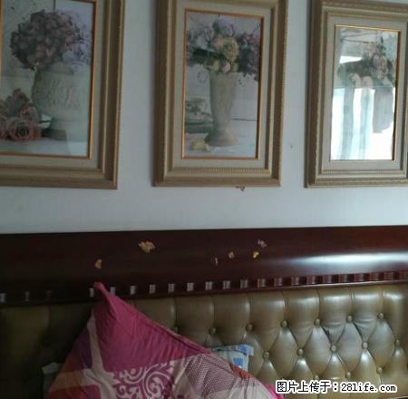 清雅苑三房两厅两卫 名校相邻交通方便 配置齐全 可押一付一 - 房屋出租 - 房屋租售 - 杭州分类信息 - 杭州28生活网 hz.28life.com