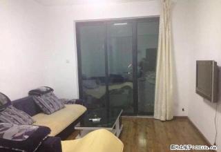 宝龙云滨湾 精装两房 地段好 设施成熟 可烧燃气 随时看房 - 杭州28生活网 hz.28life.com