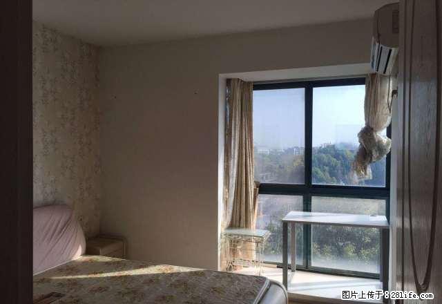 福雷德广场,精装两室一厅,随时看房,拎包入住,押一付一。 - 房屋出租 - 房屋租售 - 杭州分类信息 - 杭州28生活网 hz.28life.com