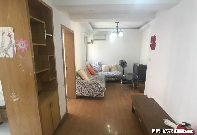 [促销]丁桥丁兰广场附近勤丰路环丁路长虹路旁阳光逸城干净清爽 - 房屋出租 - 房屋租售 - 杭州分类信息 - 杭州28生活网 hz.28life.com