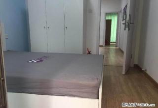 (单间出租)(单间出租)精装！月付！紫玉福邸！单身公寓！汇合城 火车东站 - 杭州28生活网 hz.28life.com