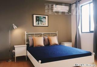 (单间出租)过年免租金 蛋壳公寓直租 无中介 合租 年轻之选 - 杭州28生活网 hz.28life.com