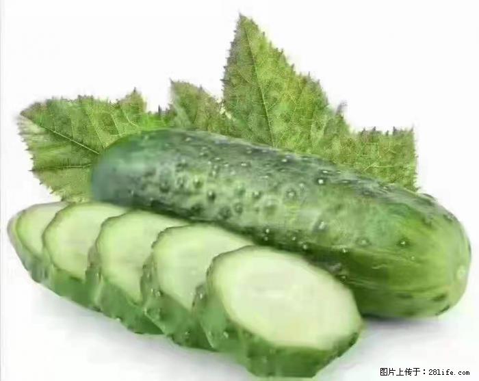 【生活小常识】吃黄瓜的好处 - 生活百科 - 杭州生活社区 - 杭州28生活网 hz.28life.com
