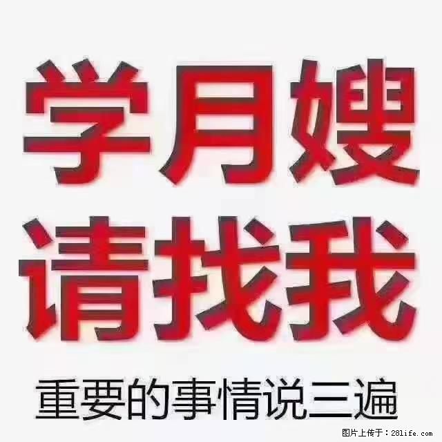 【招聘】月嫂,上海徐汇区 - 职场交流 - 杭州生活社区 - 杭州28生活网 hz.28life.com