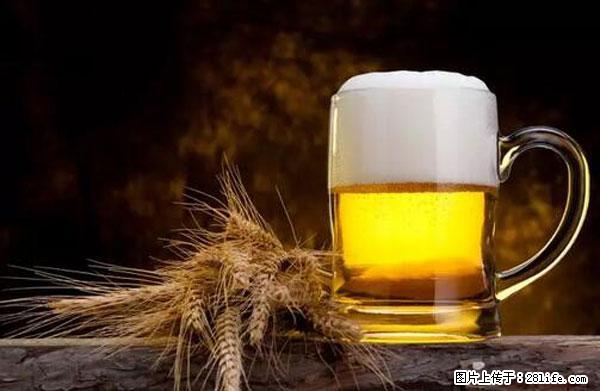 原来它这么毒,然而竟然满大街都是.... - 杭州生活资讯 - 杭州28生活网 hz.28life.com