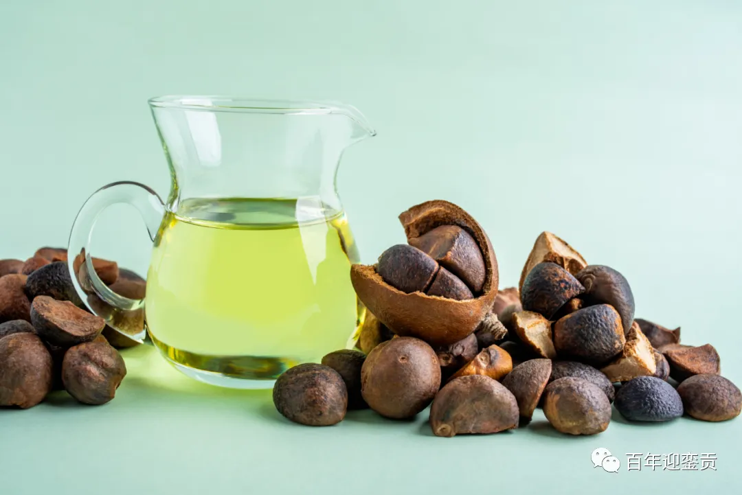 世界没有真相,只有认知,最好的食用油是中国的山茶油! - 杭州生活资讯 - 杭州28生活网 hz.28life.com