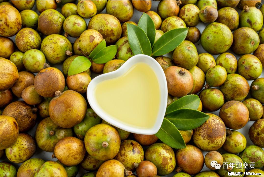 世界没有真相,只有认知,最好的食用油是中国的山茶油! - 杭州生活资讯 - 杭州28生活网 hz.28life.com