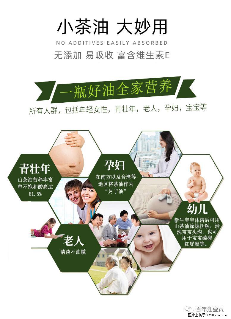 世界没有真相,只有认知,最好的食用油是中国的山茶油! - 杭州生活资讯 - 杭州28生活网 hz.28life.com