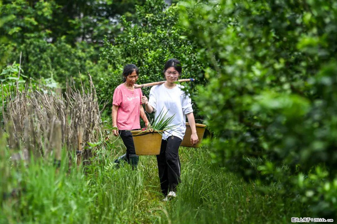 全网追的“扁担女孩”,找了一份暑假工,时薪12元 - 杭州生活资讯 - 杭州28生活网 hz.28life.com