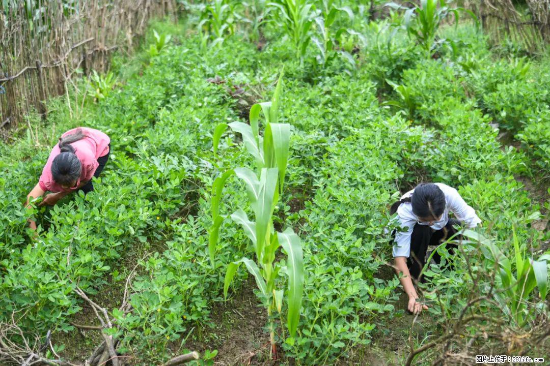 全网追的“扁担女孩”,找了一份暑假工,时薪12元 - 杭州生活资讯 - 杭州28生活网 hz.28life.com