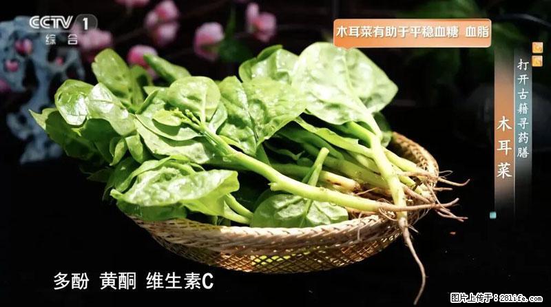 比牛奶补钙还厉害!凉血解毒、稳血糖...这菜冬天必吃,很多人却当草 - 杭州生活资讯 - 杭州28生活网 hz.28life.com