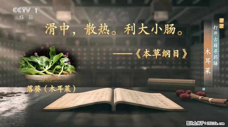 比牛奶补钙还厉害!凉血解毒、稳血糖...这菜冬天必吃,很多人却当草 - 杭州生活资讯 - 杭州28生活网 hz.28life.com