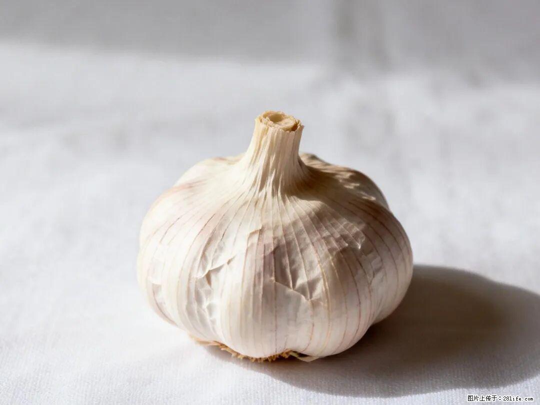 关于大蒜,除了“天然抗生素”,这4个谣言更该警惕! - 杭州生活资讯 - 杭州28生活网 hz.28life.com