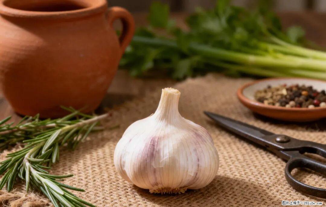 关于大蒜,除了“天然抗生素”,这4个谣言更该警惕! - 杭州生活资讯 - 杭州28生活网 hz.28life.com