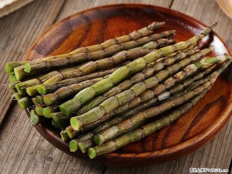 铁皮石斛的作用与功能主治 - 杭州生活资讯 - 杭州28生活网 hz.28life.com